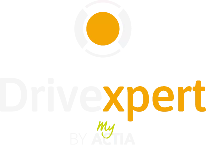 Drivexpert logo